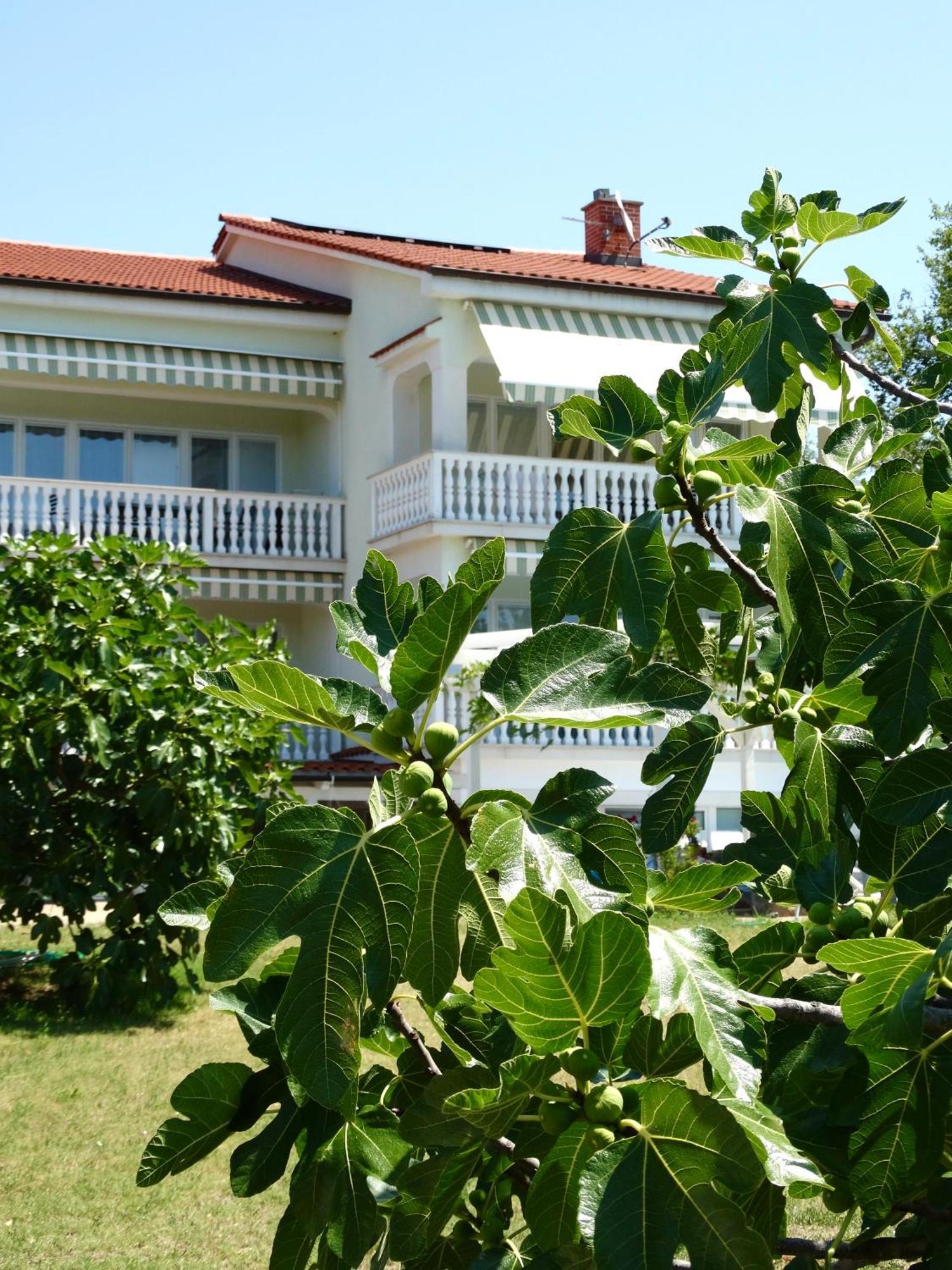 Apartments Gorancica Malinska Exteriér fotografie